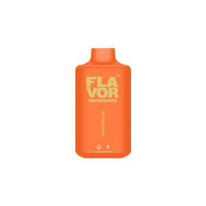 Flavor Vaporizers | Shop - 8000 PUFFS | vape puff 4